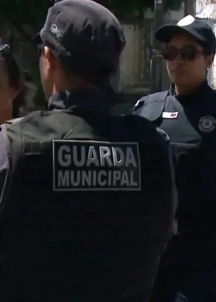 Gatos Mortos em Fortaleza: Caso de Maus-Tratos Choca Comunidade