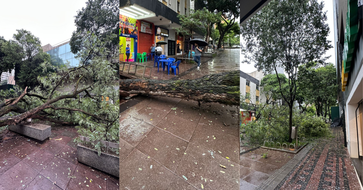 Governo Federal reconhece emergência em cidades de MG; Inmet alerta