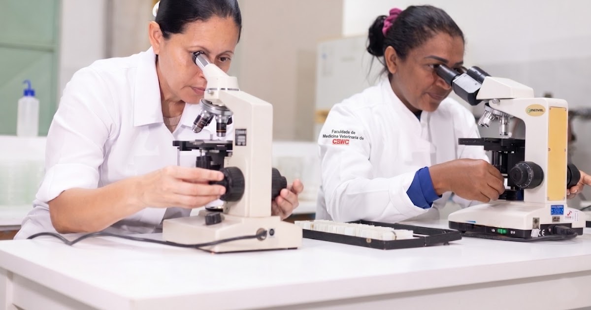 Gratuidade É a Palavra no Ceará! 615 Vagas para Cursos Técnicos e Superiores