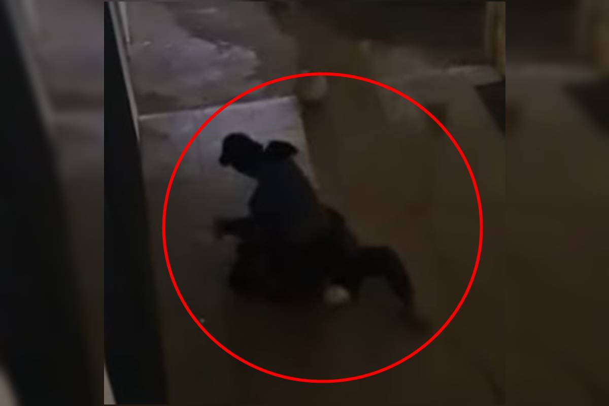 Homem em situação de rua espanca rival no "Beco do Crack" da Asa Norte. Veja vídeo