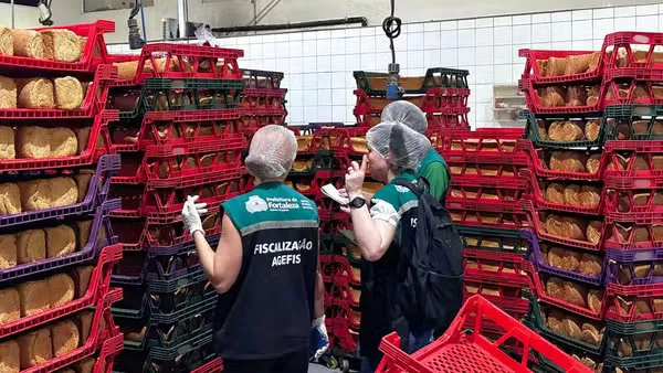 Infestação de Baratas em Fábrica de Pães em Fortaleza: Entenda o Caso