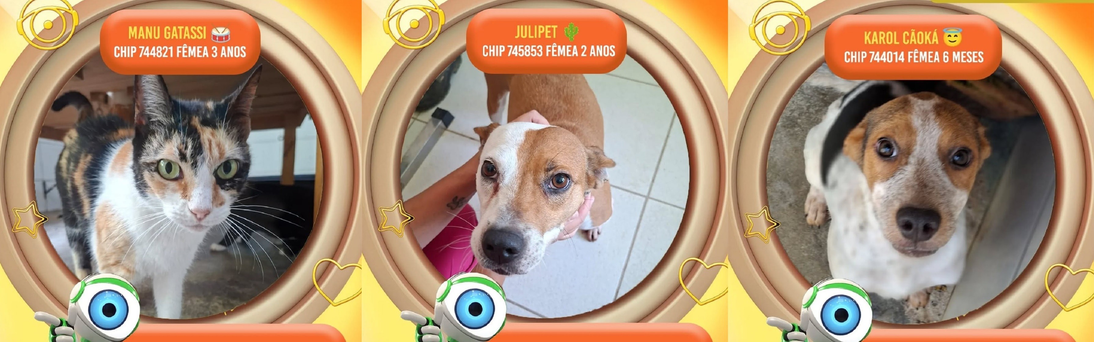 Karol Cãoká, Julipet e Manu Gatassi: canil batiza animais inspirado em participantes icôni