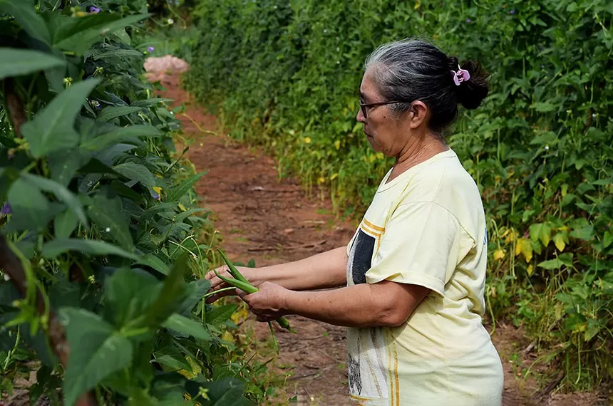 Lei histórica beneficia trabalhadores rurais: Não mais multa para contagem de tempo anterior a filiação ao INSS