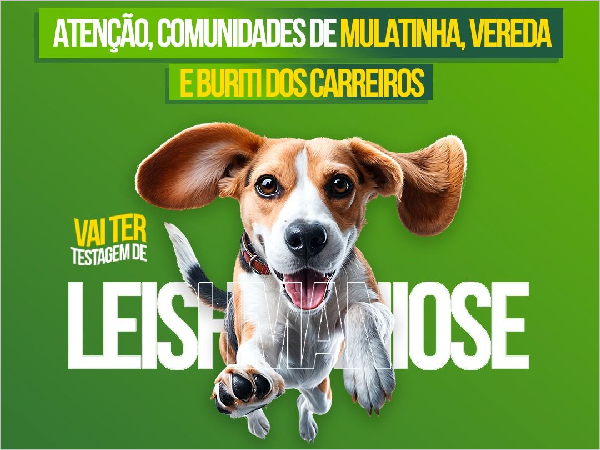 Leishmaniose Canina: Prefeitura de Poranga Promove Testagem em Cães
