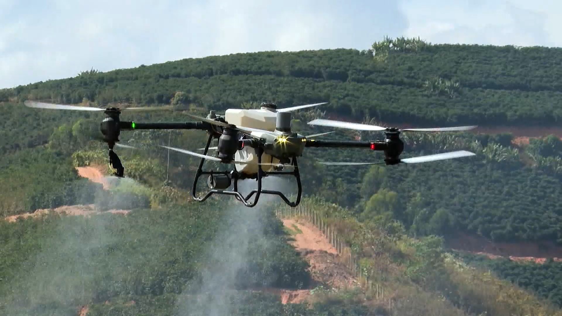 Liberação de agrotóxicos e defensivos biológicos bate novo recorde em 2025, a...