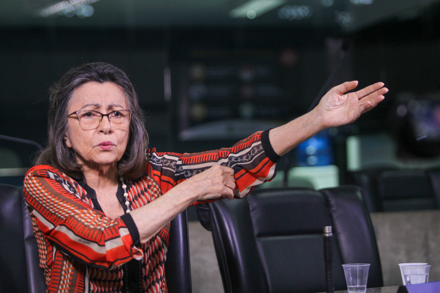 Maria Luiza Fontenele: A Pioneira Política que Revolucionou o Brasil