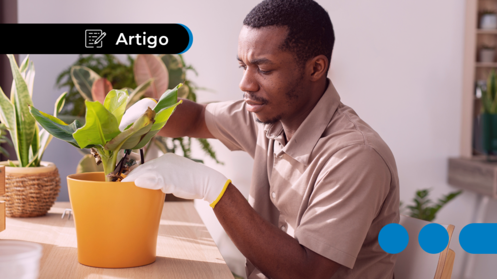 MEI para Freelancer: Como se Registrar e Quais São os Benefícios