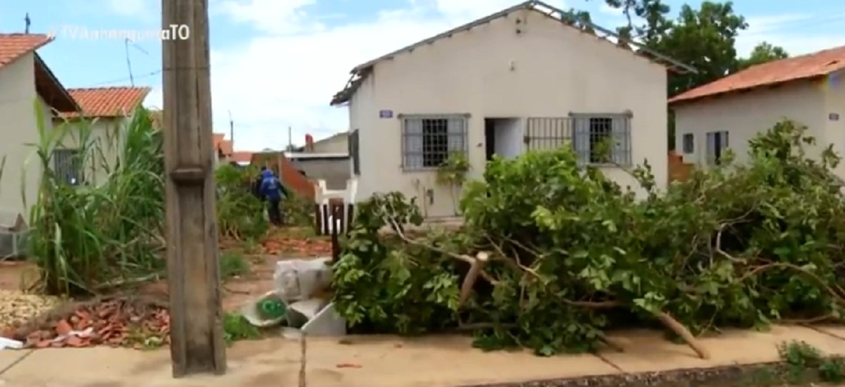 Moradores iniciam reconstrução após rastro de destruição em Palmas: 'Nunca tinha visto iss