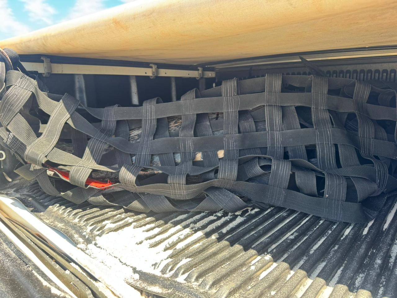 mort golfinhos Grande Natal