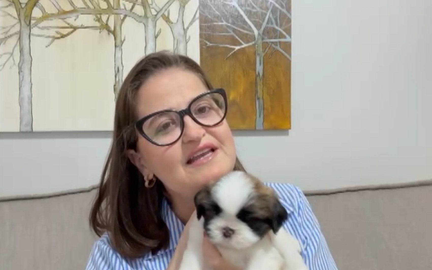 Mulher decide doar shih tzu à família que perdeu cão após ataque de outro em Ribeirão Pret