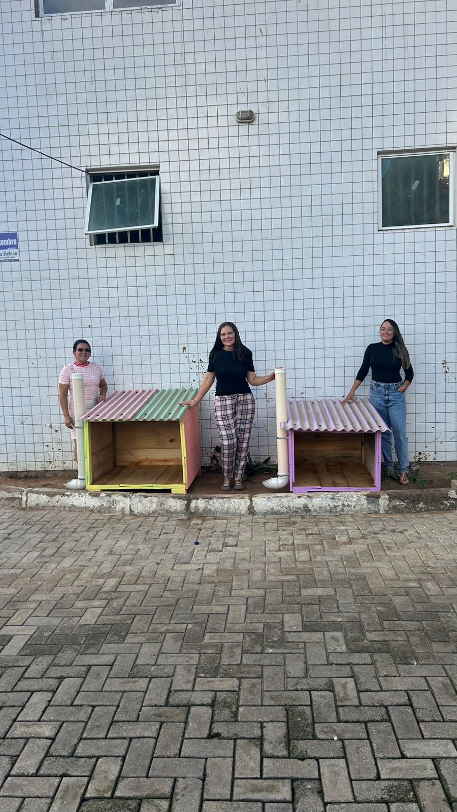 Novo Oriente: 'Cats and Dogs' transforma cidade em abrigo para animais abandonados