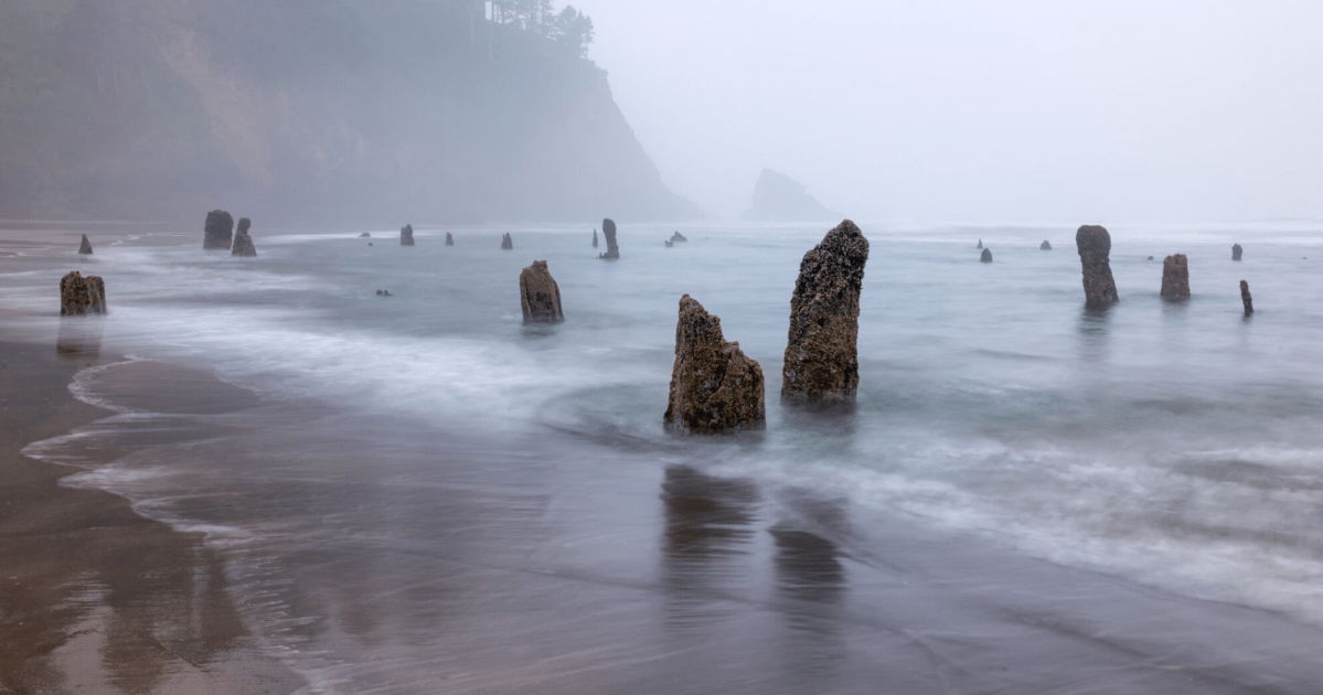 O Terremoto Gigante que pode Atingir o Brasil: A Falha de Cascadia