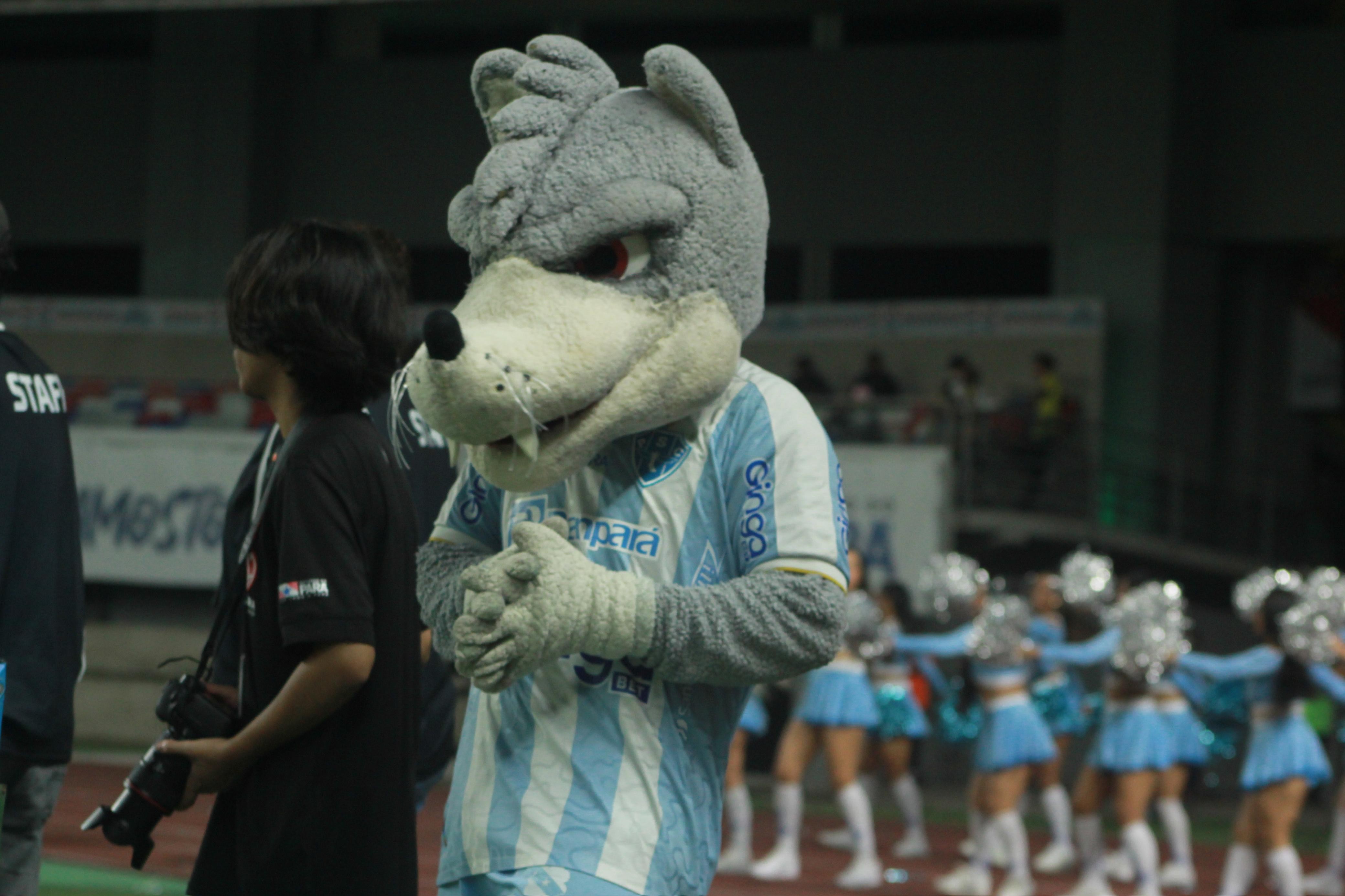 Paysandu em risco de eliminação da Copa Norte após histórico de derrotas