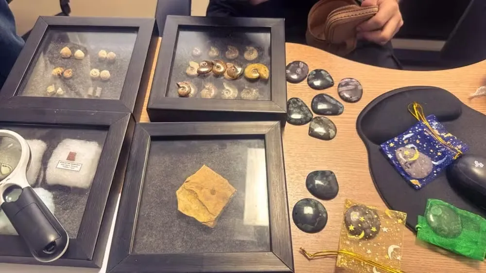 PF desarticula esquema de contrabando de fósseis do Ceará - Descubra como!