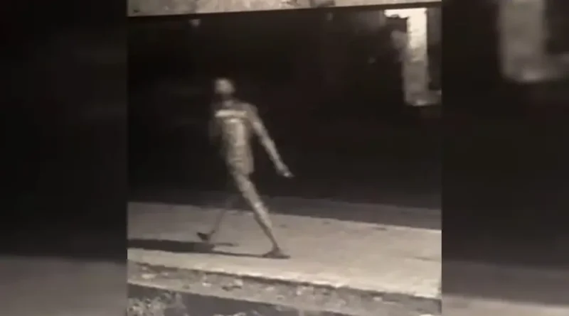 Planta Valiosa é Furta em Ipu: Entenda o Crime e o Prejuízo Estimado