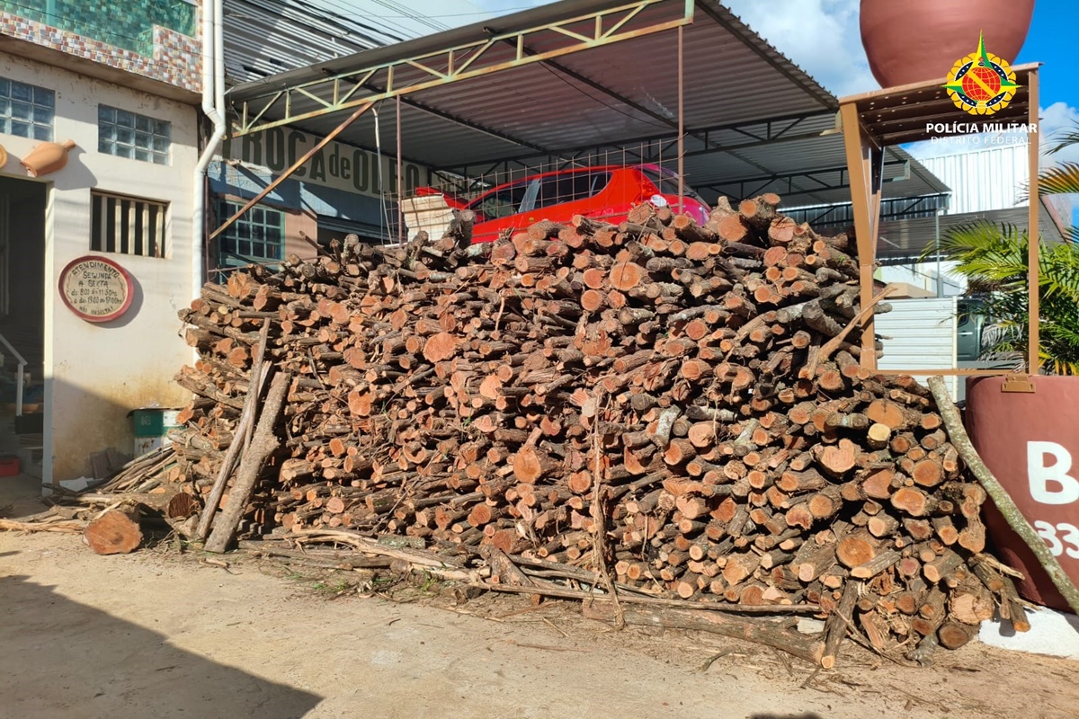 PM flagra descarregamento ilegal de madeira nativa em região do DF
