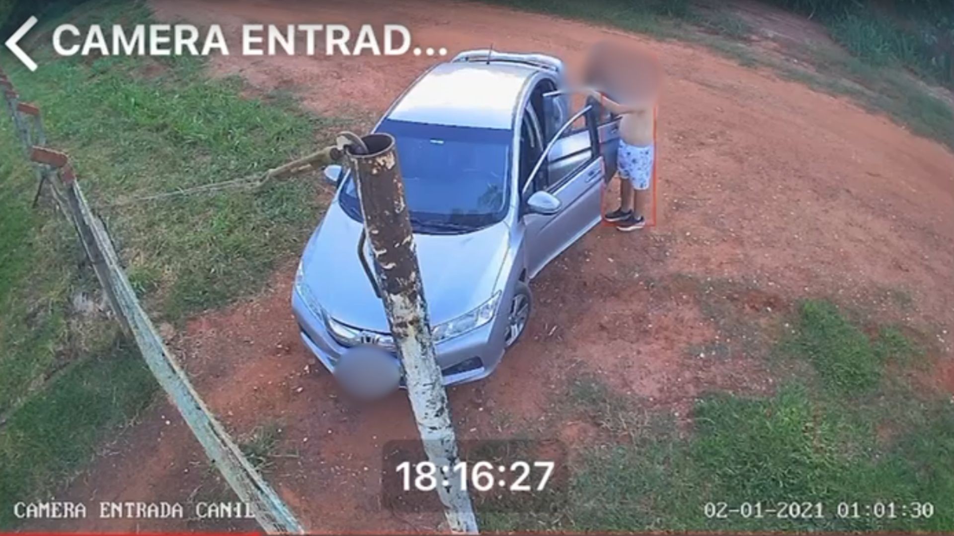 Polícia investiga morte de 9 animais em canil municipal após resgate de filhotes com suspe