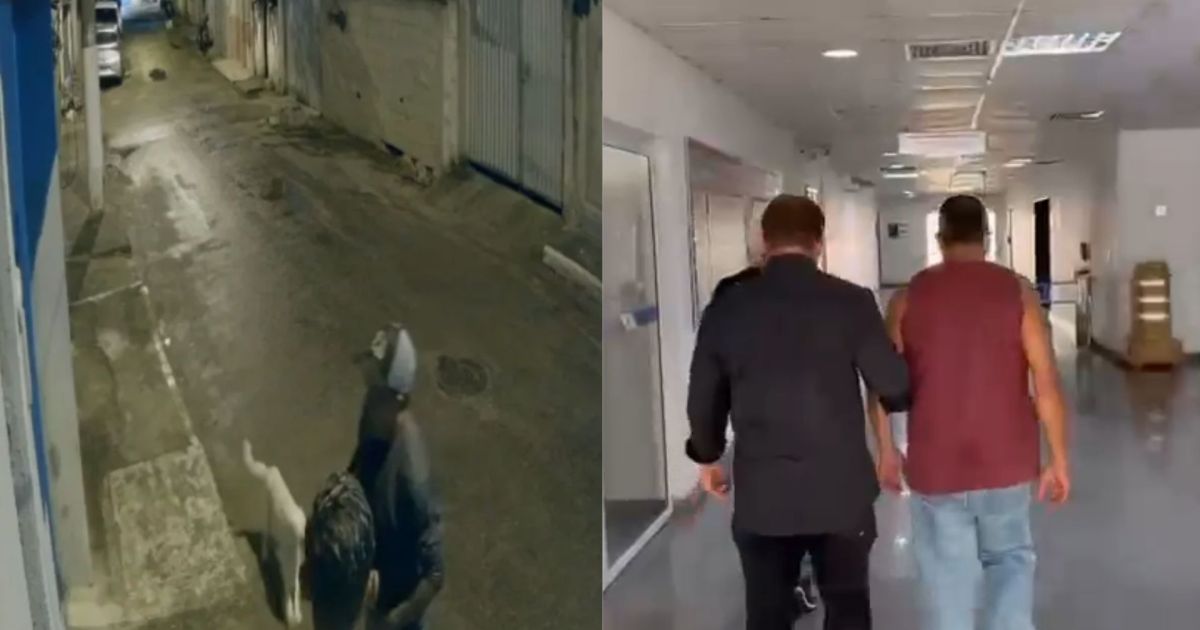Polícia prende homem que executou cachorro a tiros no Rio