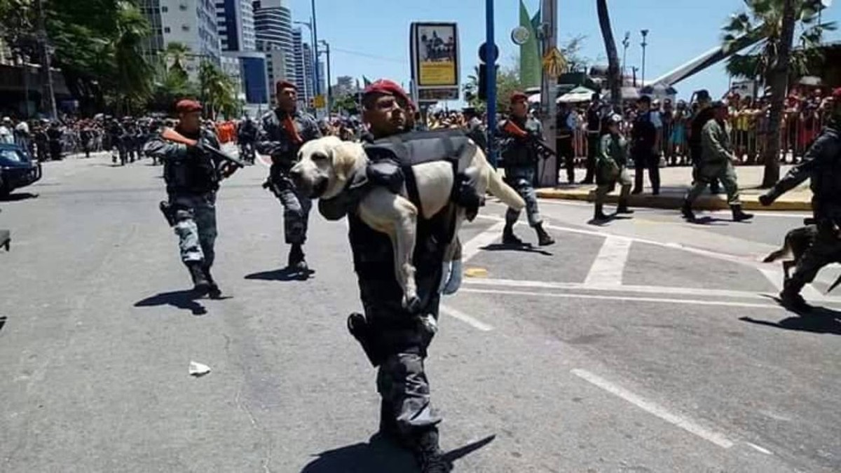 Policial leva cão nos braços no desfile da Independência em Fortaleza; veja vídeo