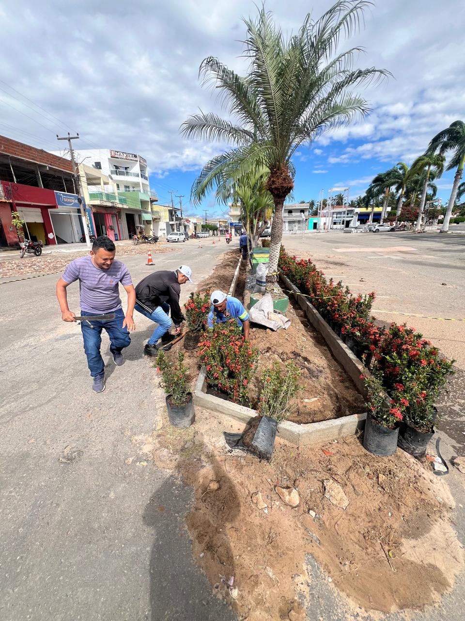 Poranga se torna mais verde: Prefeitura investe em paisagismo e arborização
