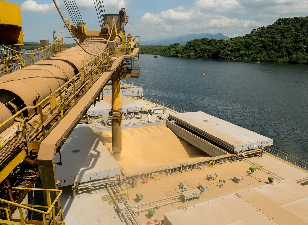 Primeira queda anual do IGP-DI desde 2023 foi puxada por commodities, diz FGV