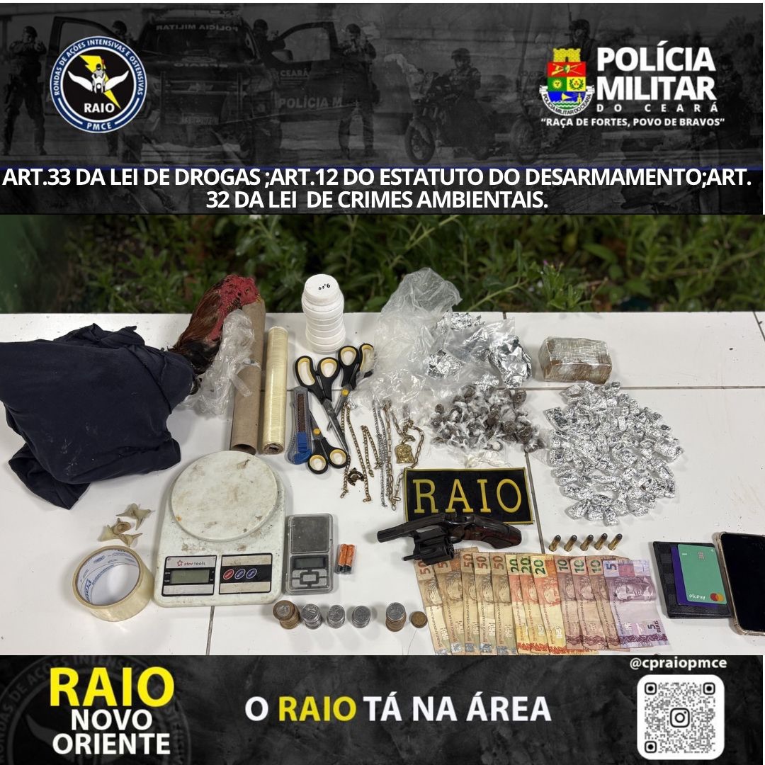 Prisão em Novo Oriente: RAIO Acaba com Tráfico de Drogas e Crime Ambiental