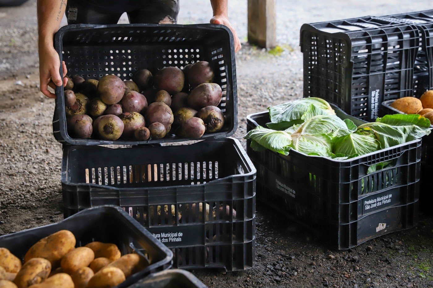 Programa beneficiará 54 produtores rurais em São José dos Pinhais