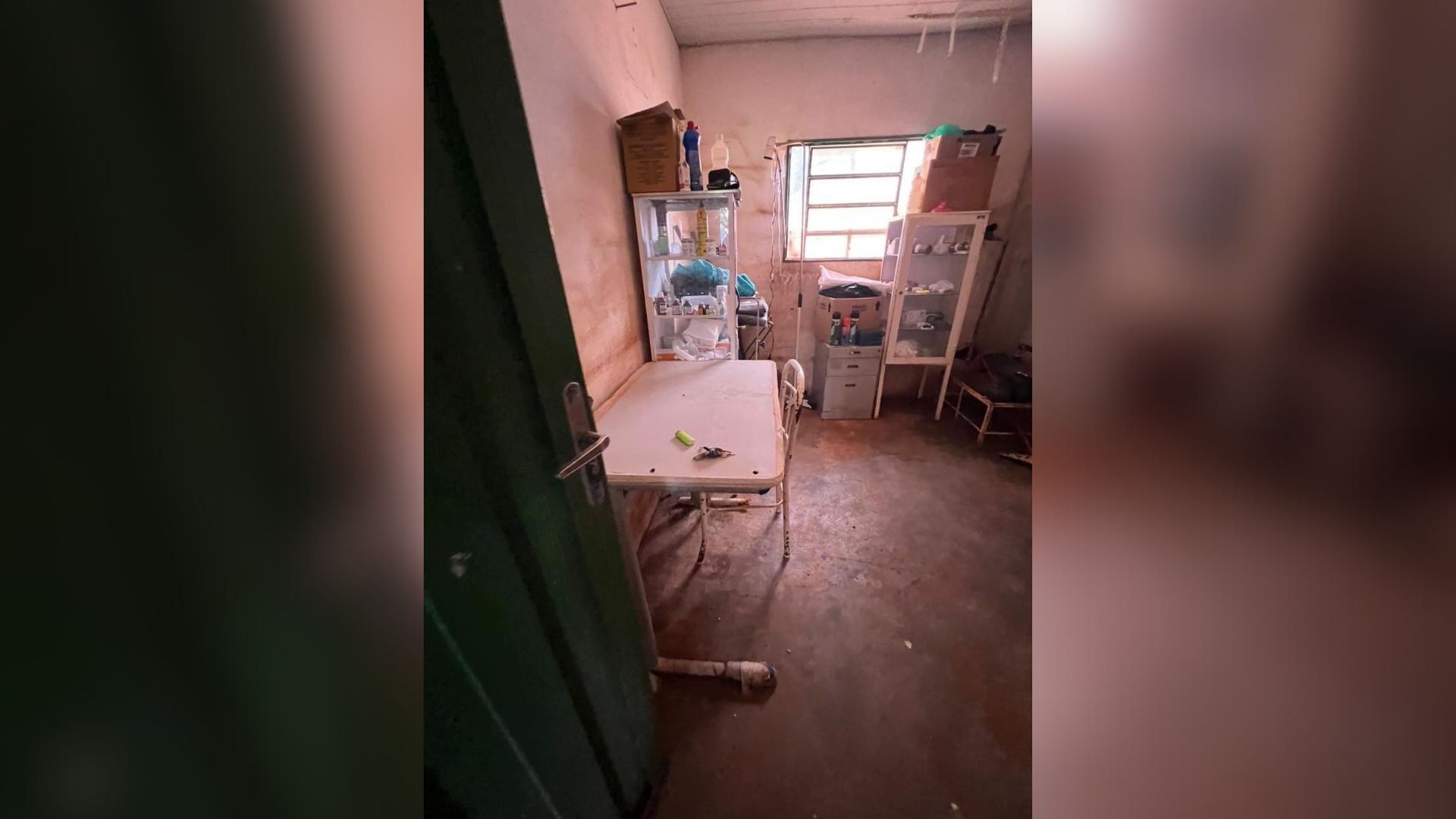 Protetora denuncia problemas estruturais em canil municipal alvo de investigação por morte