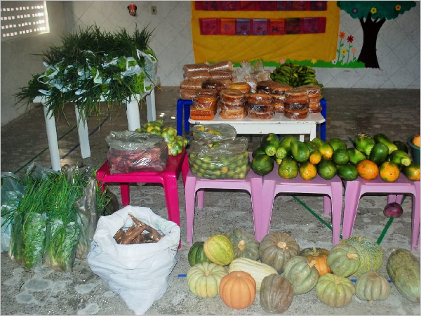 Quiterianópolis lança edital de R$ 175 mil para apoiar agricultura familiar