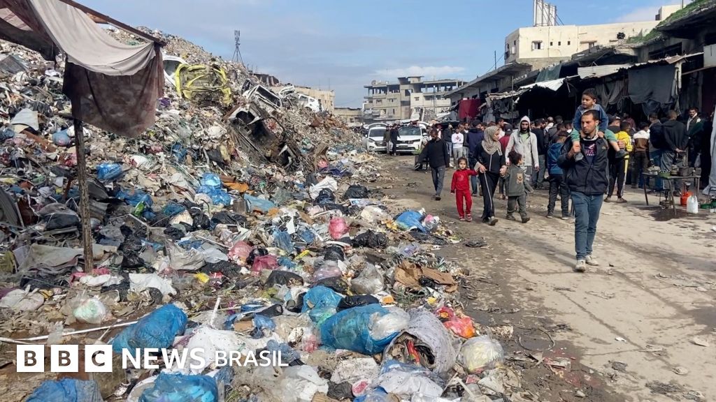 Ratos na Faixa de Gaza: Crise Humanitária se Aprofunda