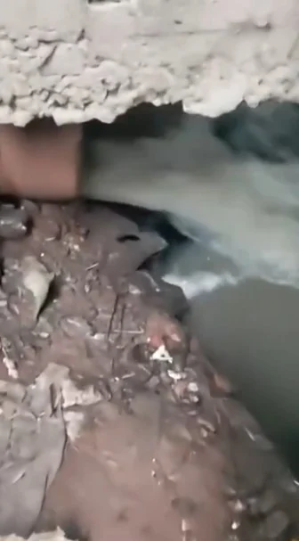 Represa Billings recebe despejo de esgoto de encanamento da Sabesp na zona sul de SP