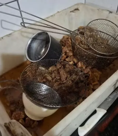 Restaurante com Pragas e Alimentos Irregulares é Interditado em Fortaleza