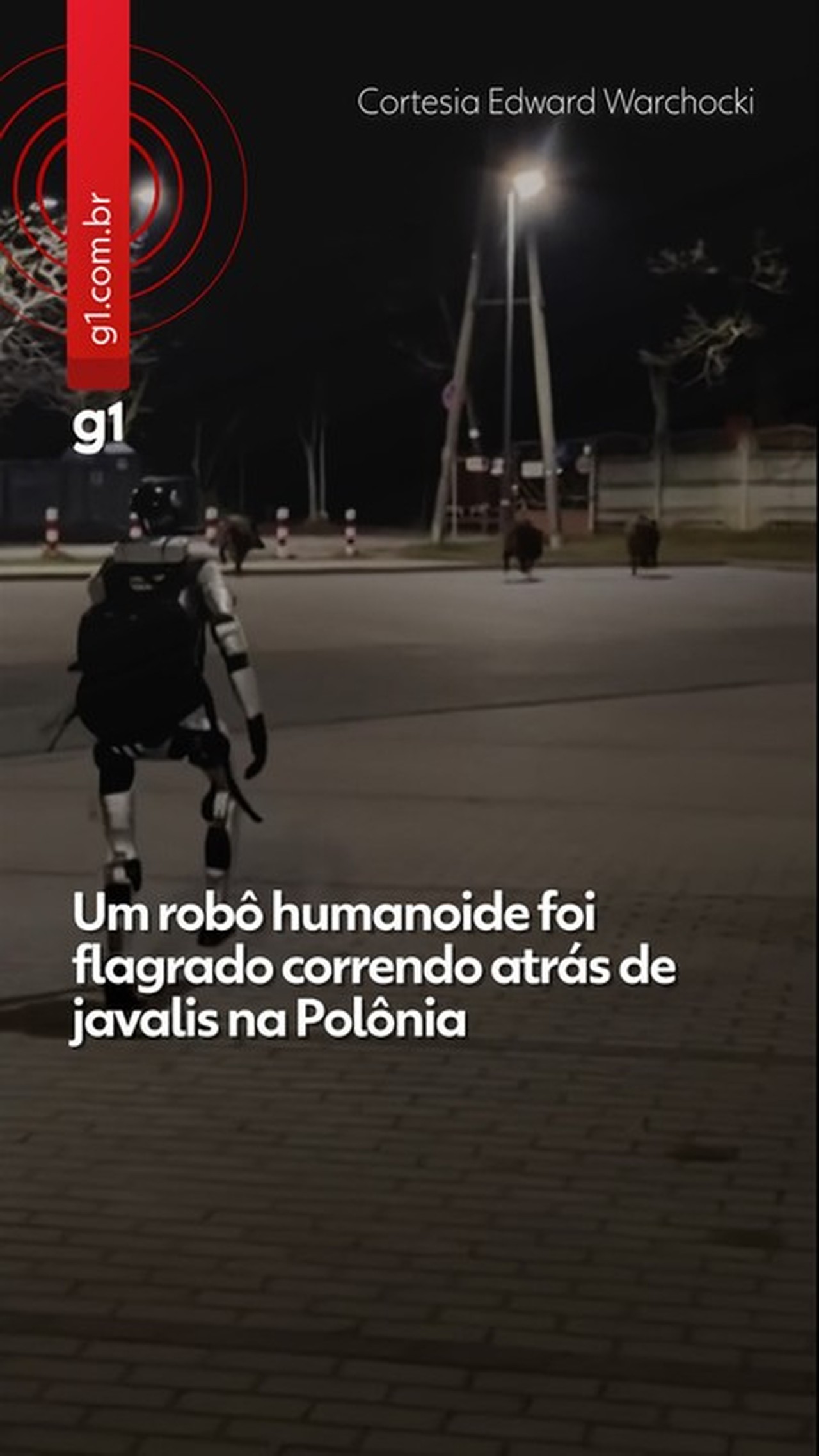 Robô Polonês Captura a Atenção com Sucesso em Abater Javali Selvagens