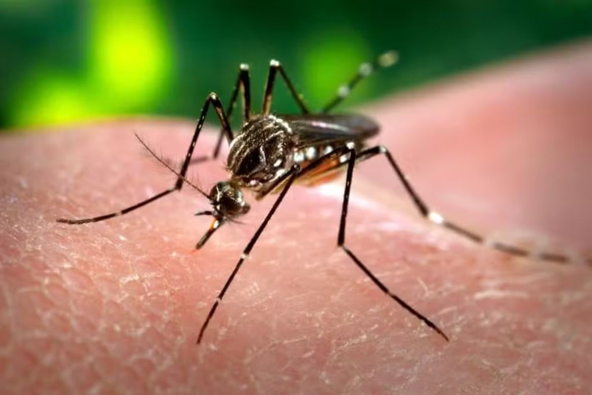 Saúde de Nova Granada confirma duas mortes por dengue em 2026