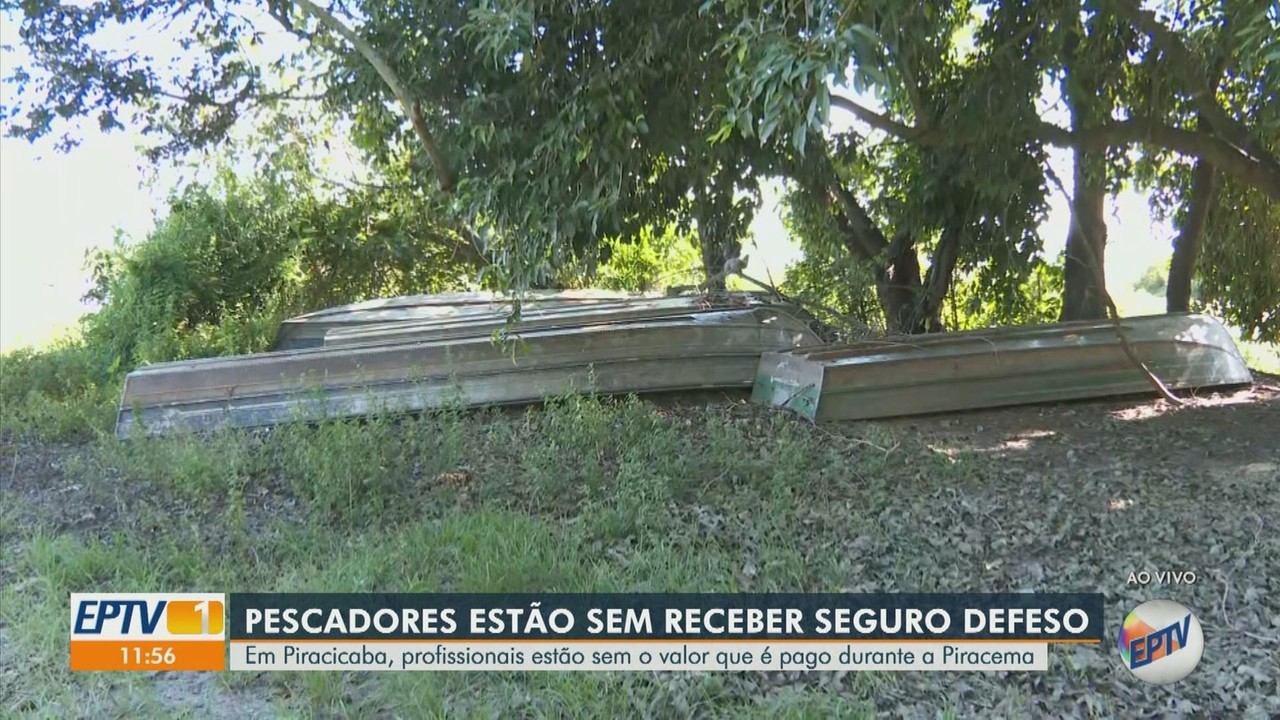 Sem receber seguro defeso, pescadores afetados pela mortandade de peixes no Rio Piracicaba