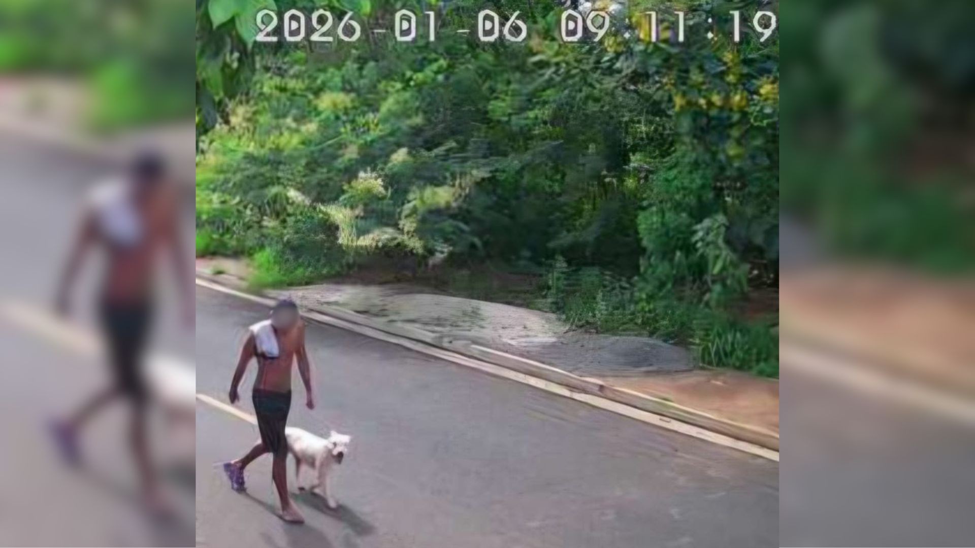 Suspeito de abandonar pit bull que morreu após ser encontrado sob sol e preso pelo pescoço