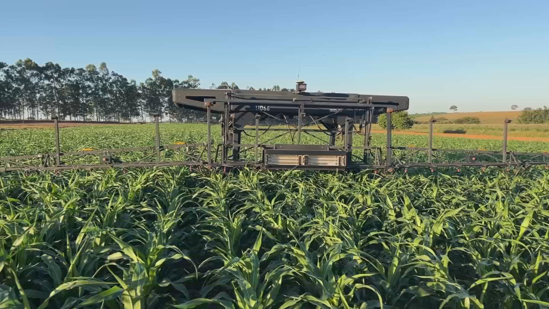 Tecnologia Agro 5.0: Inovação no Campo Brasileiro Diminui Desperdício e Aumenta Produtividade