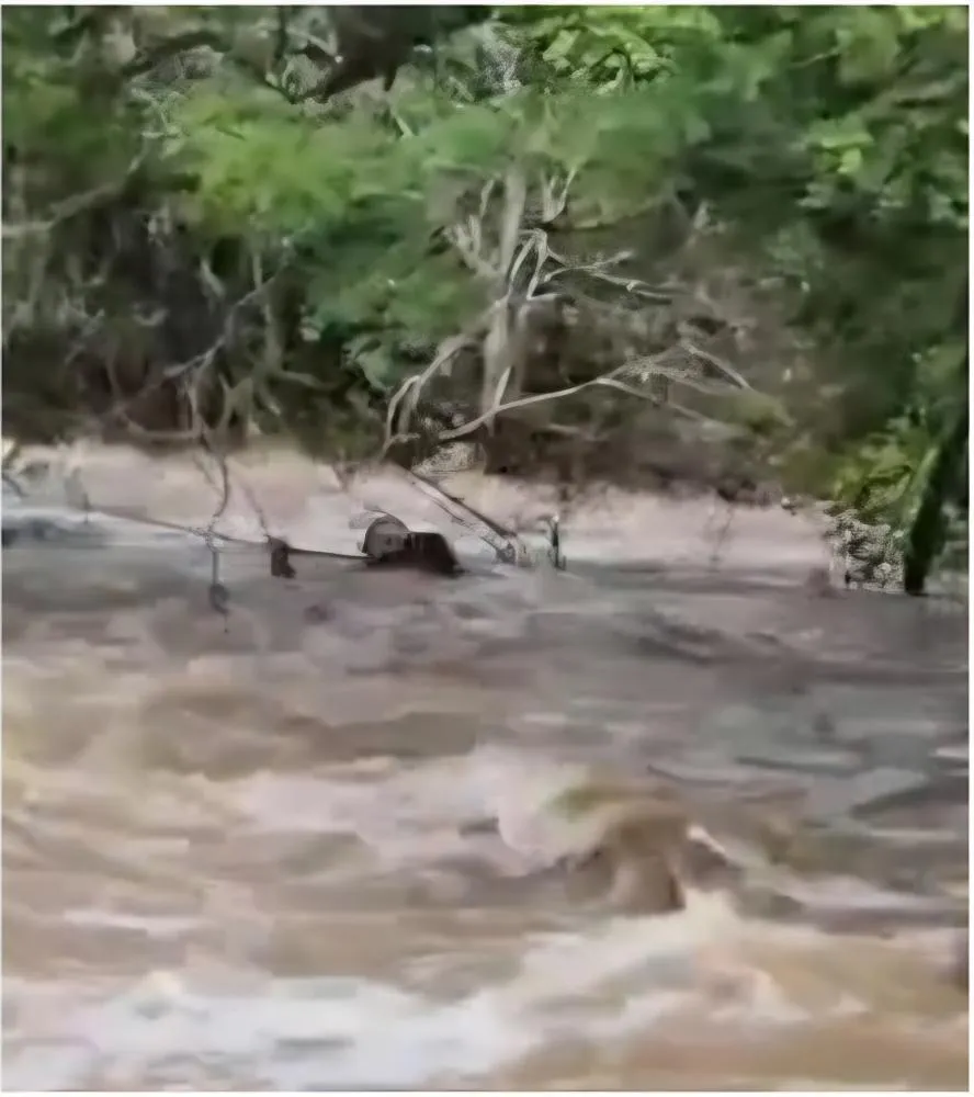 Tragédia em Ipaporanga: Chuva Forte Deixa Três Pessoas Ilhadas em Riacho