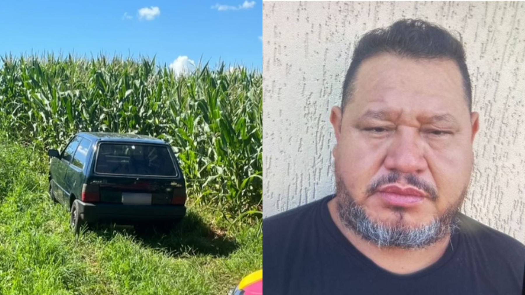 Tragédia no Paraná: Homem Morre após Queda de Árvore enquanto Observava Aves