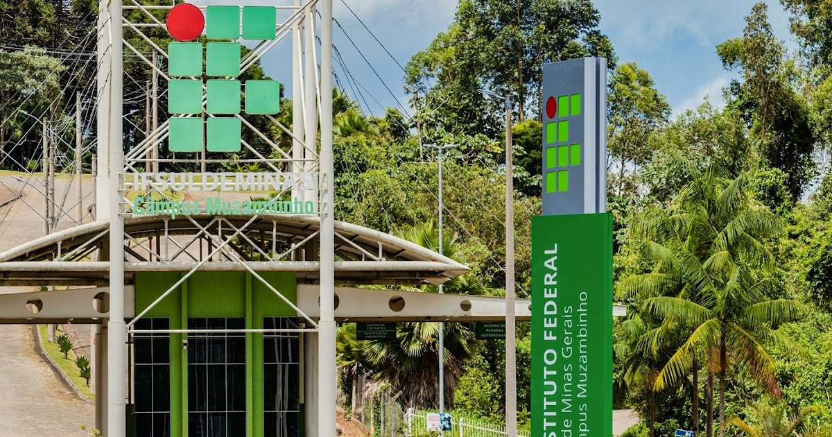 Transformação na Educação: Instituto Federal abre 500 vagas gratuitas de Educação Inclusiva