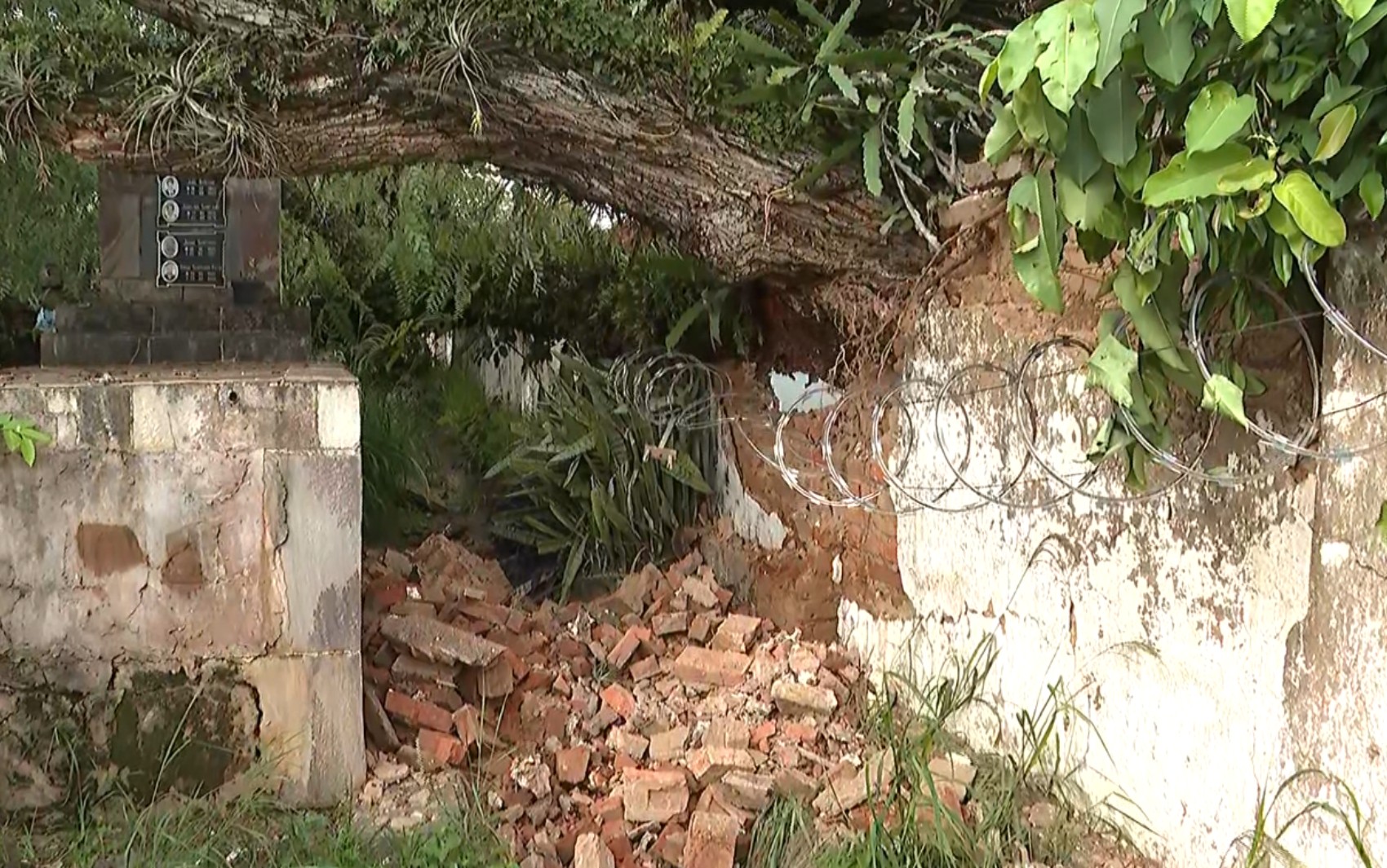 Túmulos de cemitério em Franca, SP, são atingidos por árvore que caiu durante temporal