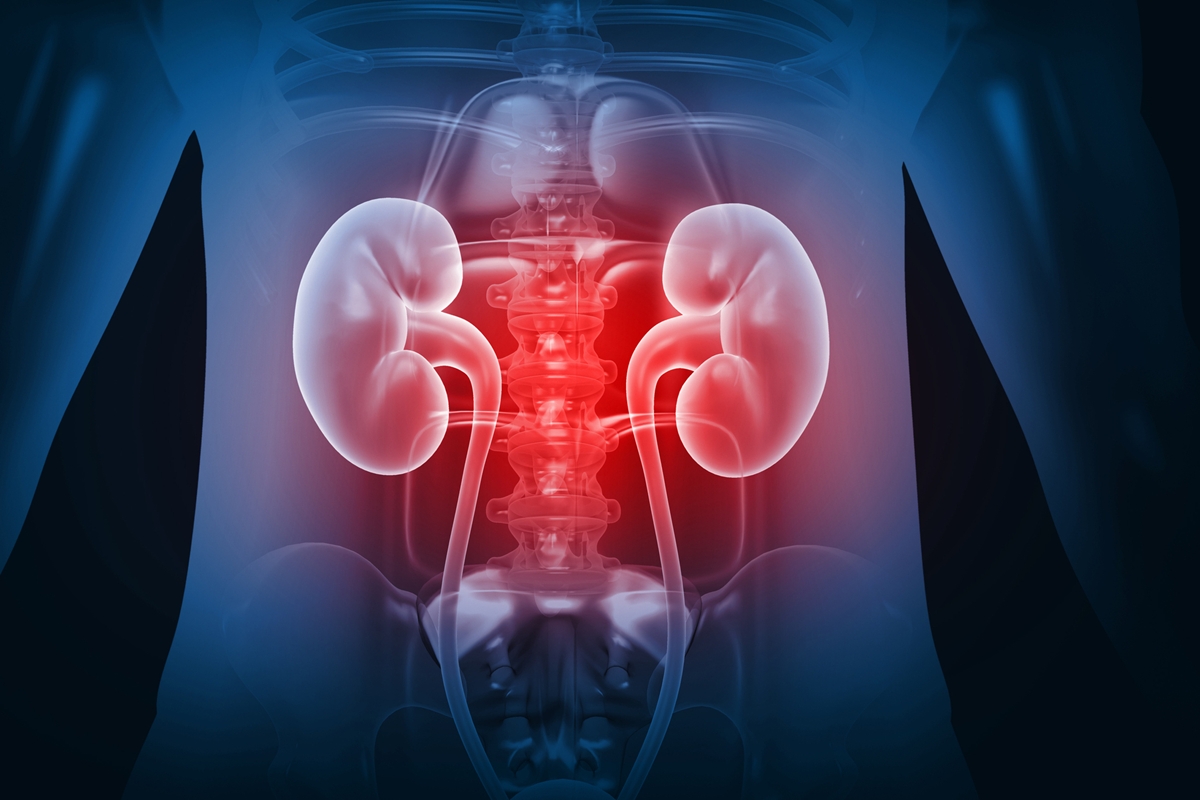 Urologista aponta as bebidas que mais prejudicam a saúde dos rins