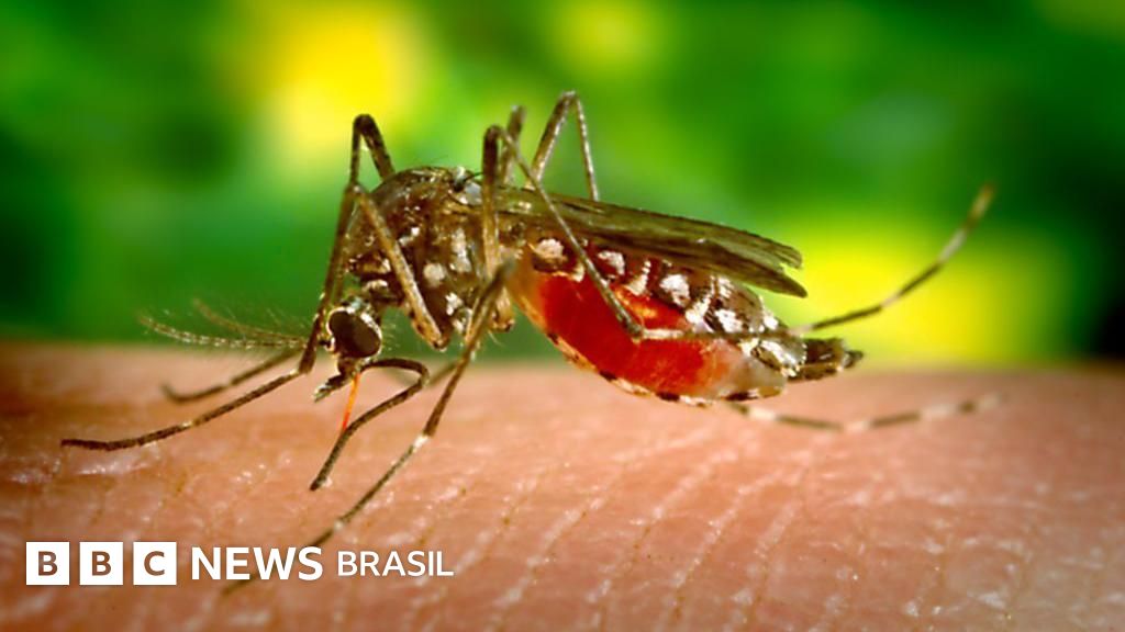 Vacina Contra Dengue do Butantan: Um Caso de Controvérsia no Brasil