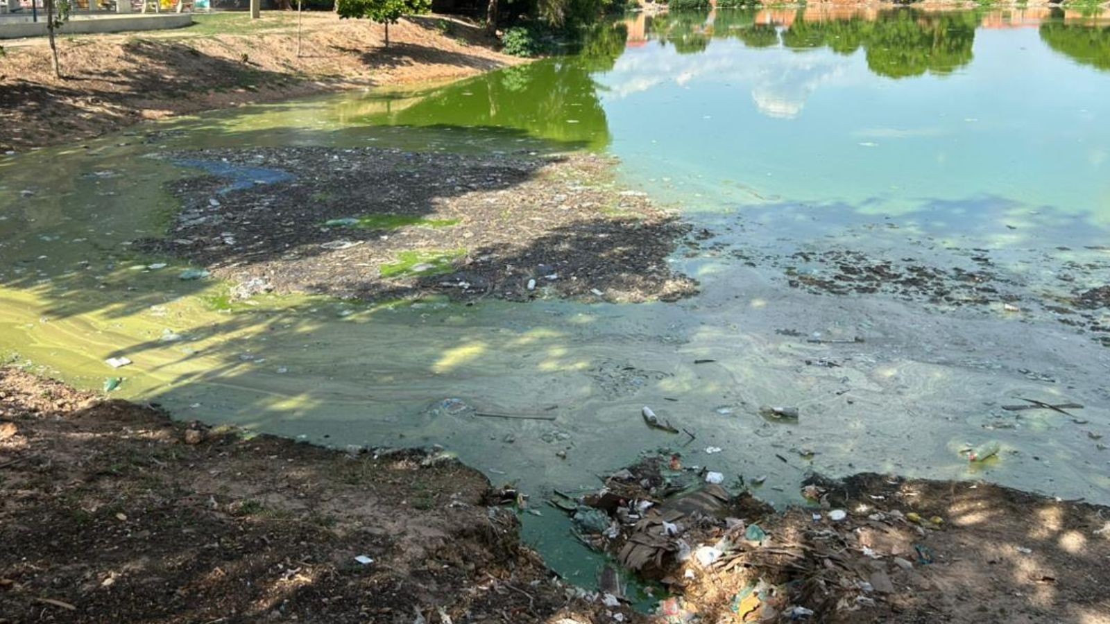 VÍDEO: descarte irregular de dejetos em lagoa de Teresina provoca mau cheiro; moradores de
