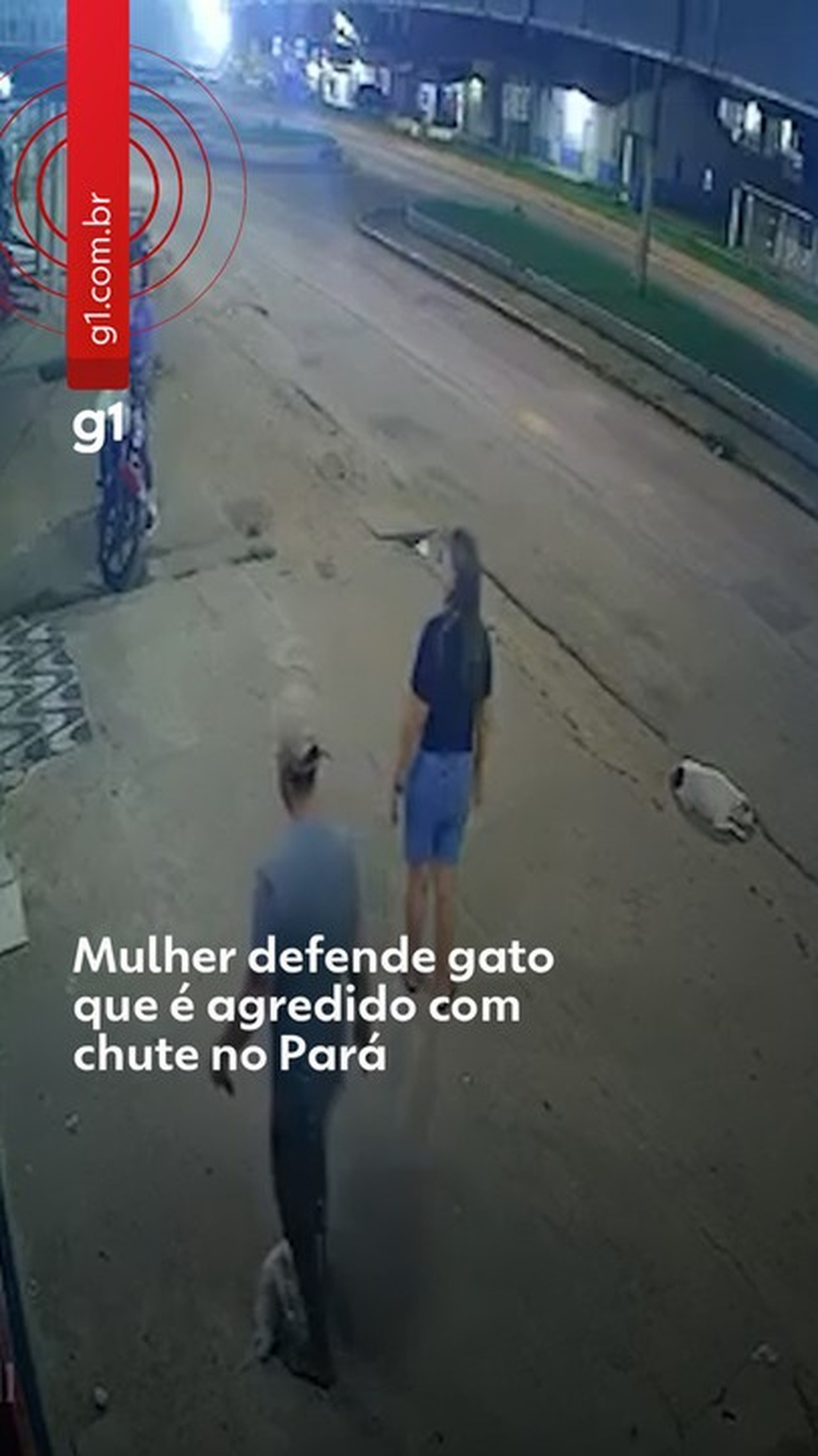 VÍDEO: Mulher defende gato que é agredido com chute no Pará